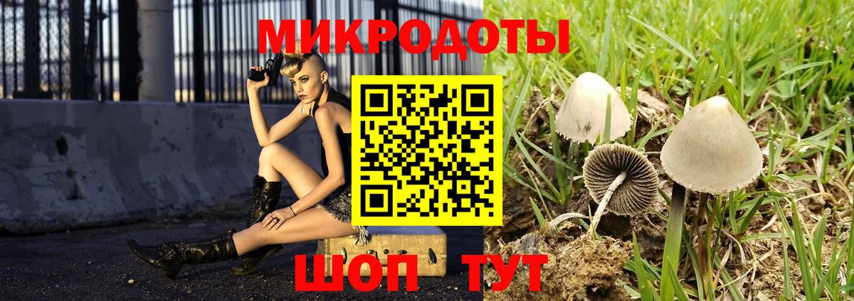 Псилоцибиновые грибы Psilocybine cubensis Усть-Джегута