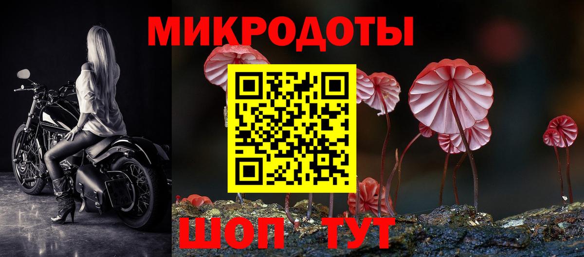 Галлюциногенные грибы MAGIC MUSHROOMS  Псилоцибиновые грибы Cubensis  Усть-Джегута  Вход с VPN 